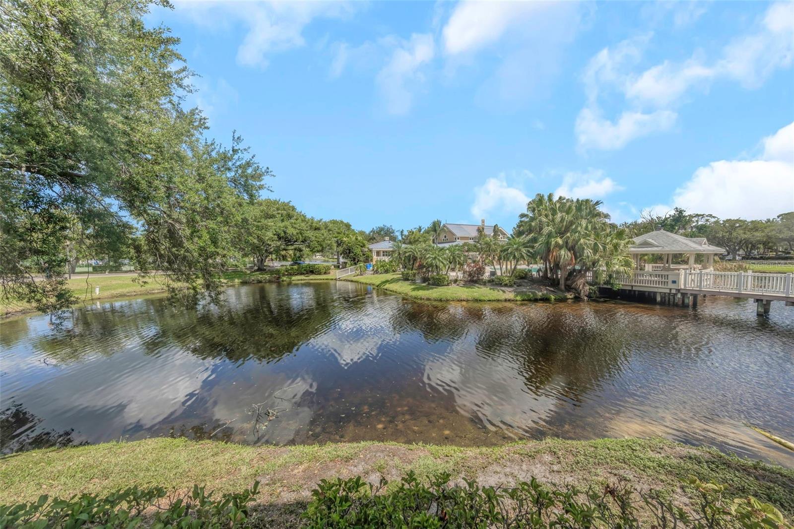 115 112TH AVE NE #703, ST PETERSBURG, FL, 33716
