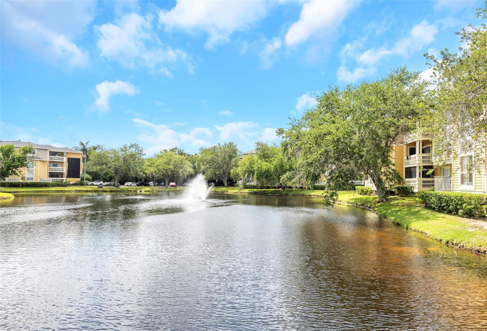 115 112TH AVE NE #703, ST PETERSBURG, FL, 33716