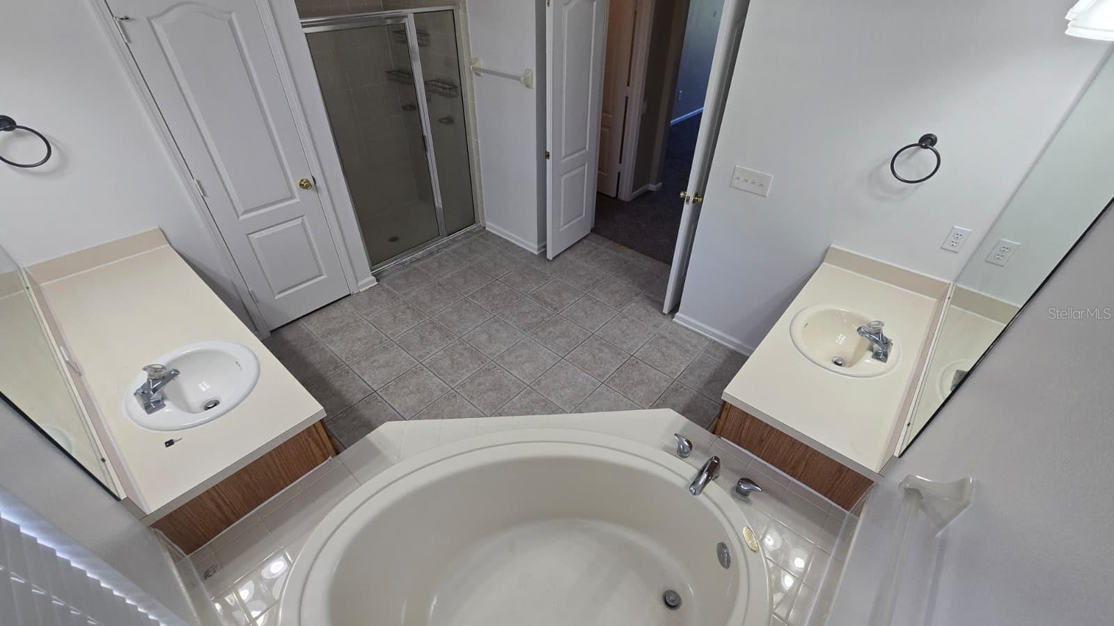 25837 RISEN STAR DR, WESLEY CHAPEL, FL, 33544