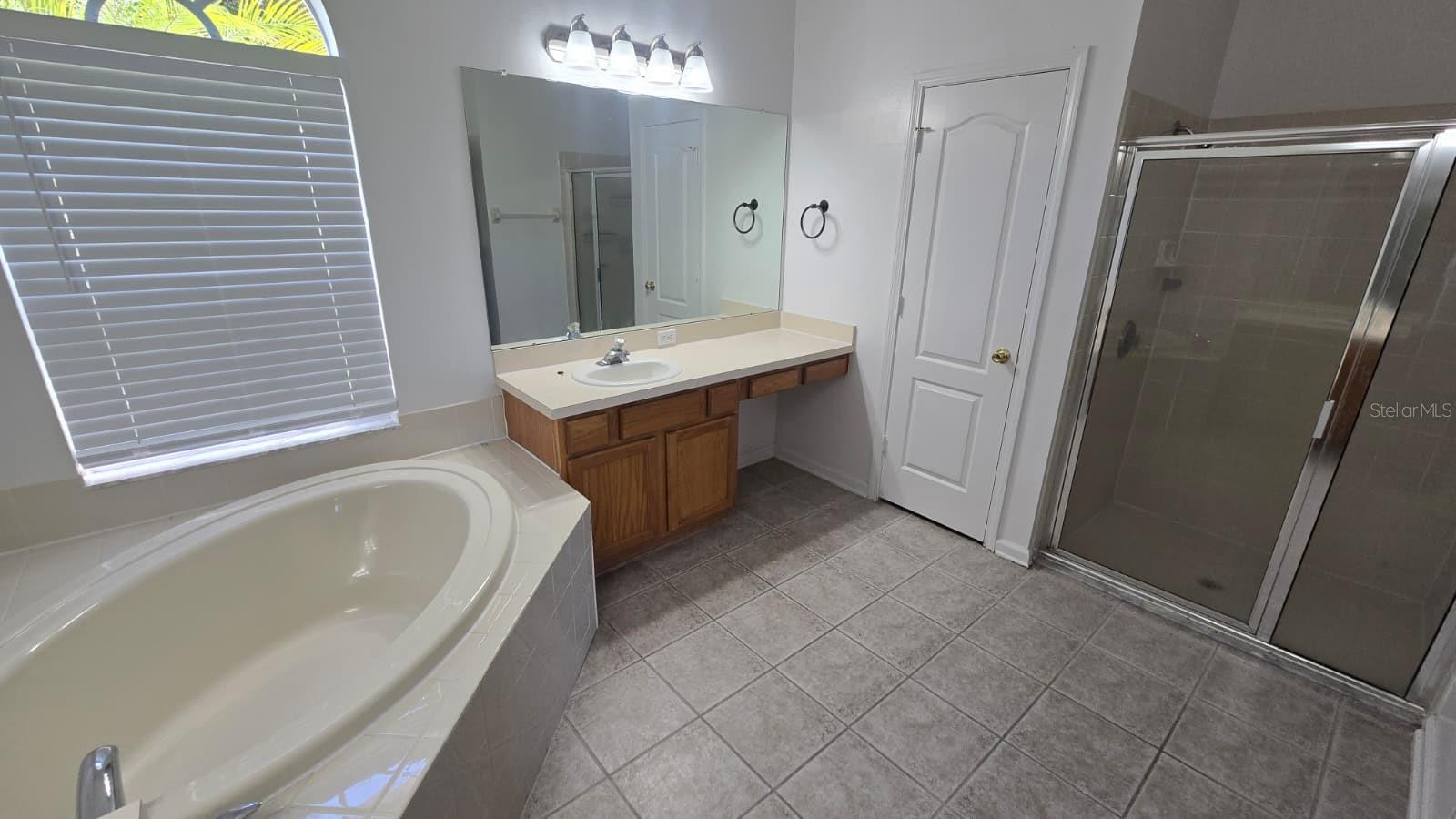 25837 RISEN STAR DR, WESLEY CHAPEL, FL, 33544