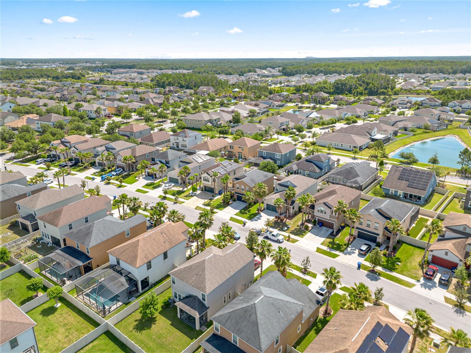 1620 TALLULAH TER, WESLEY CHAPEL, FL, 33543