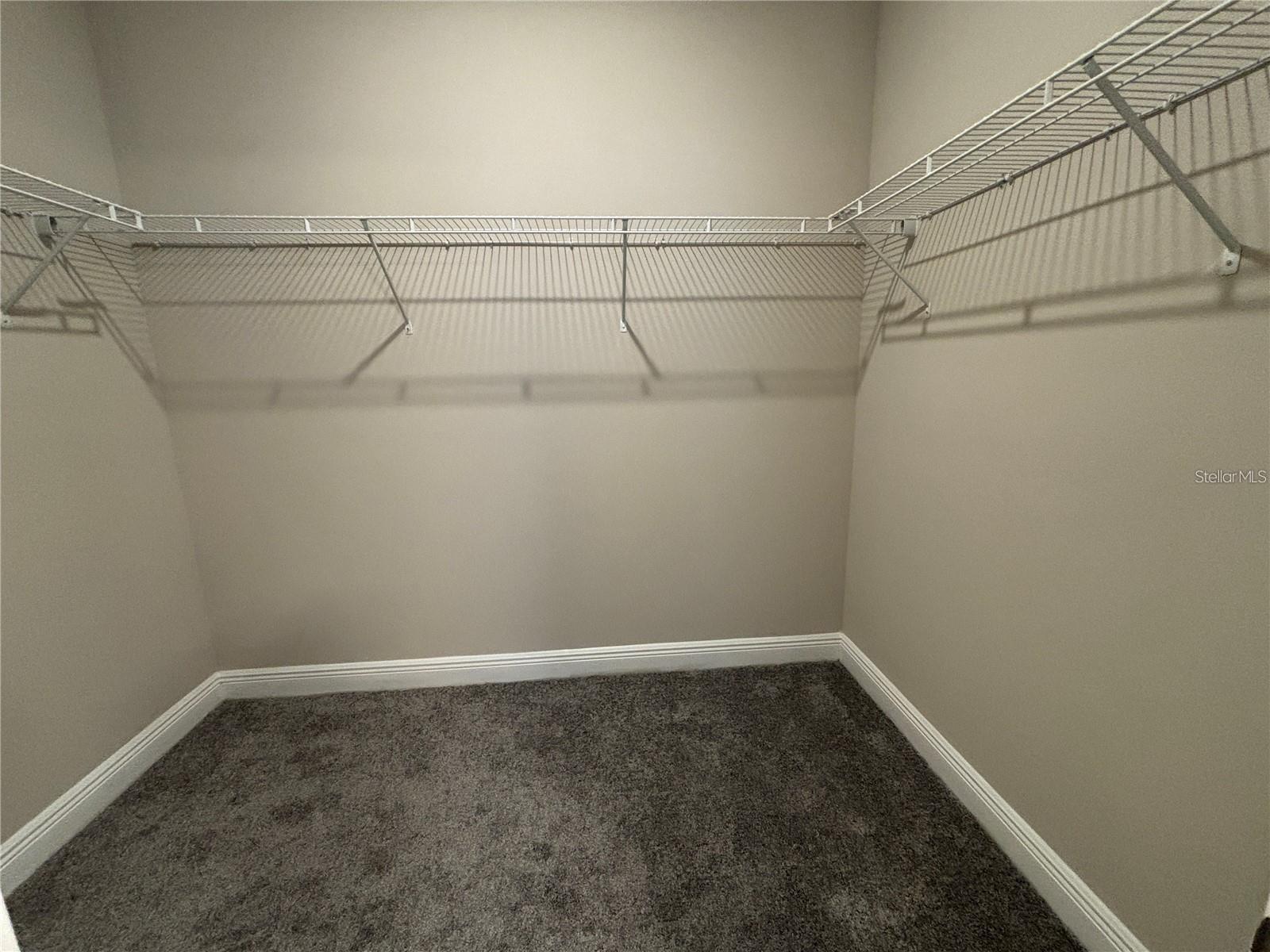 16440 HAMLIN HILLS RD, WINTER GARDEN, FL, 34787