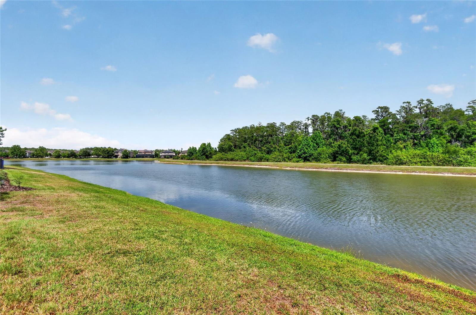 2892 RIDERS PASS, ODESSA, FL, 33556