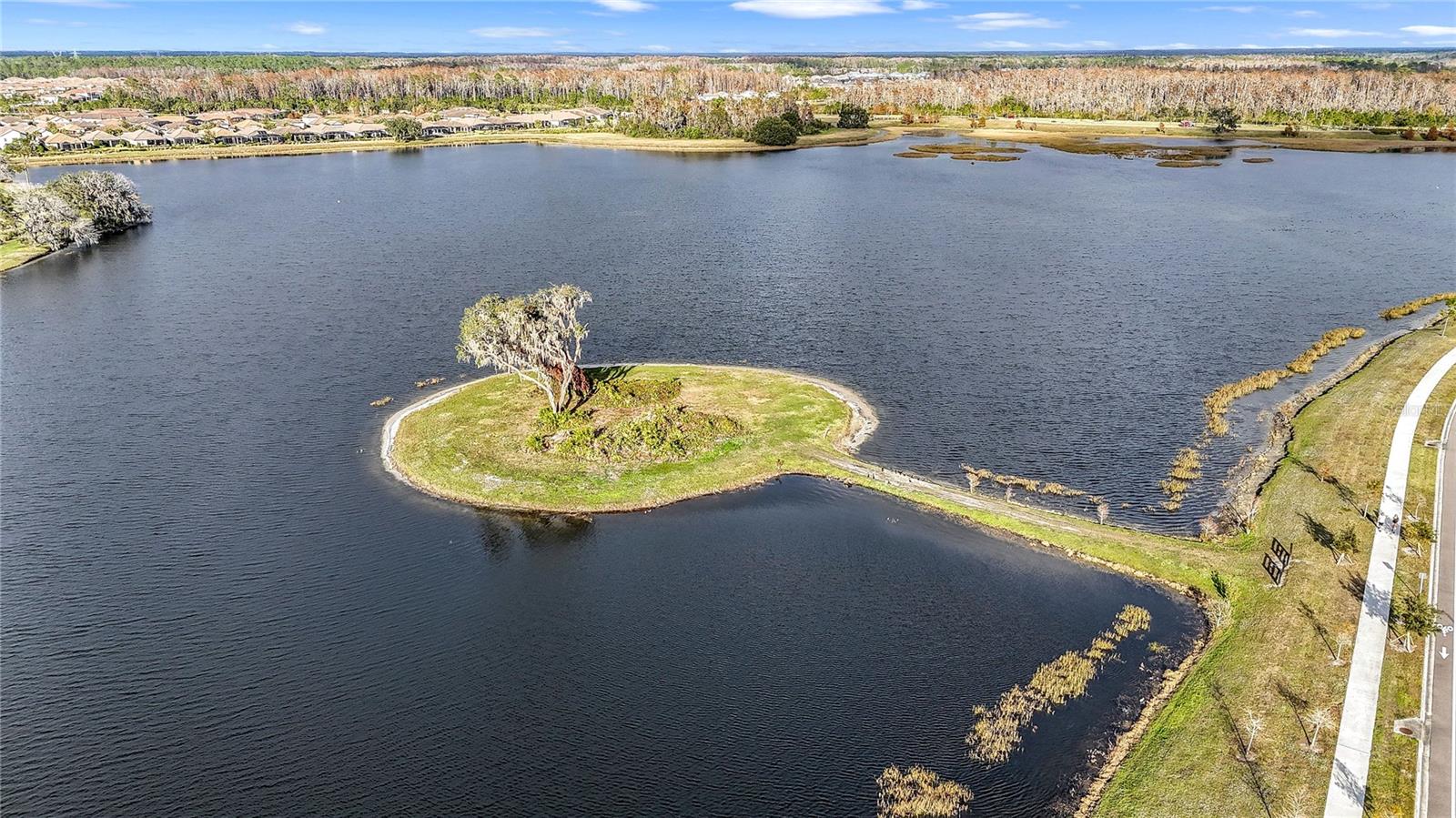 2892 RIDERS PASS, ODESSA, FL, 33556