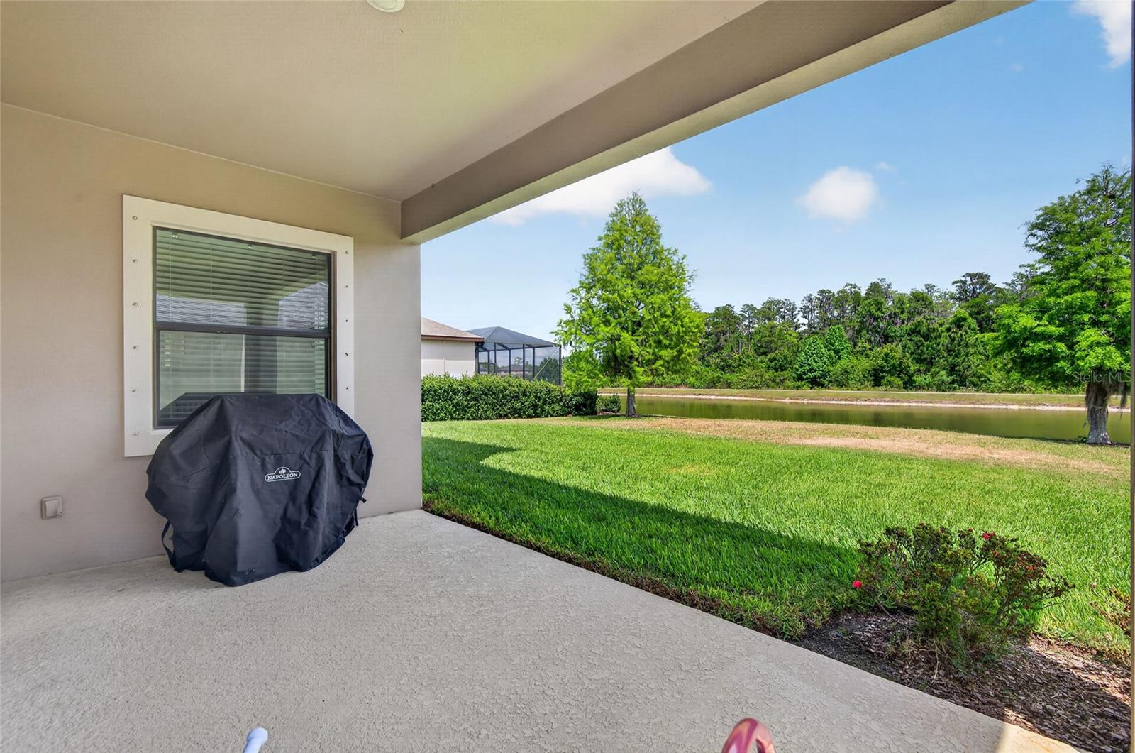 2892 RIDERS PASS, ODESSA, FL, 33556