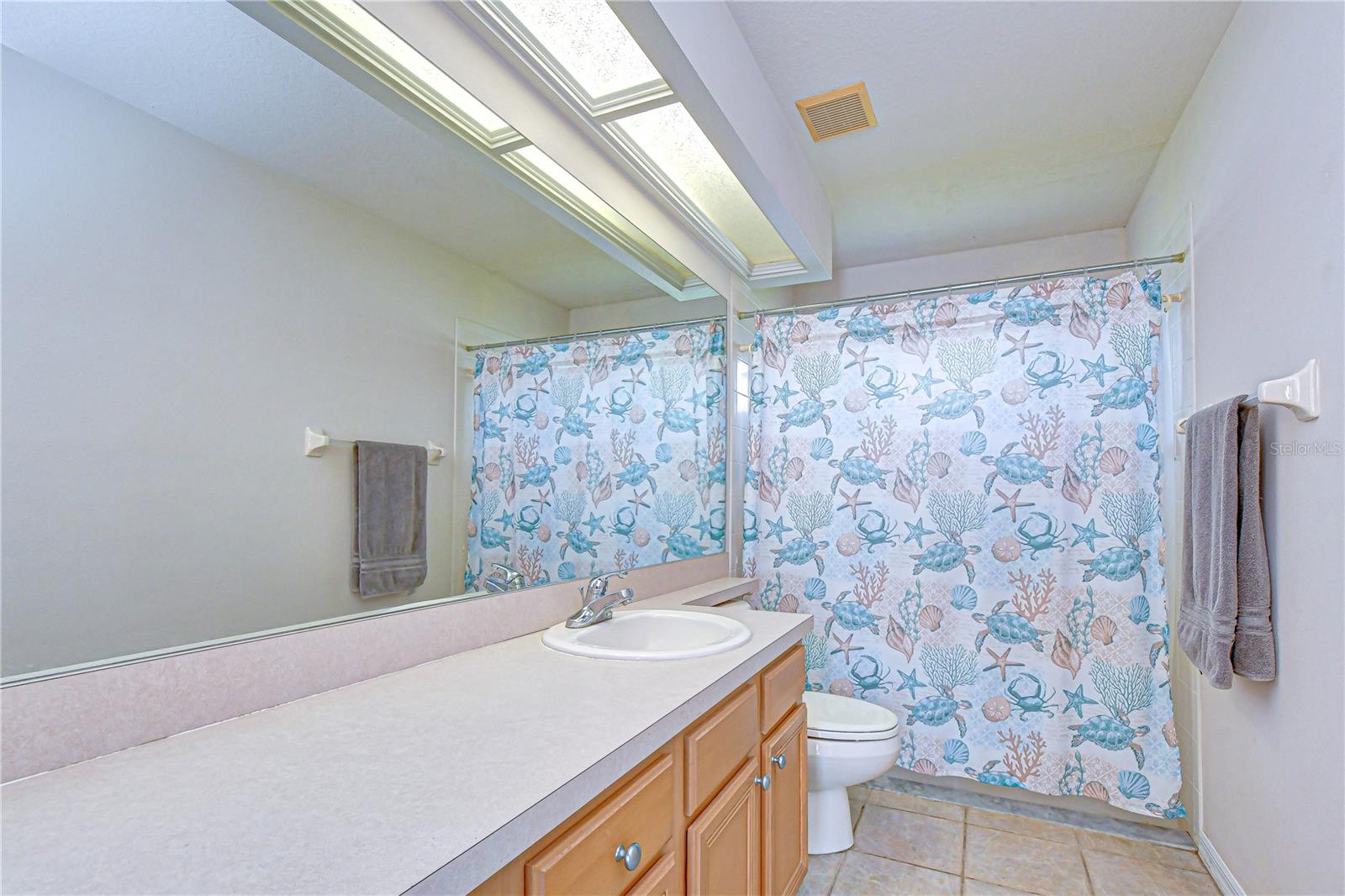 2833 MOSSY TIMBER TRL, VALRICO, FL, 33596