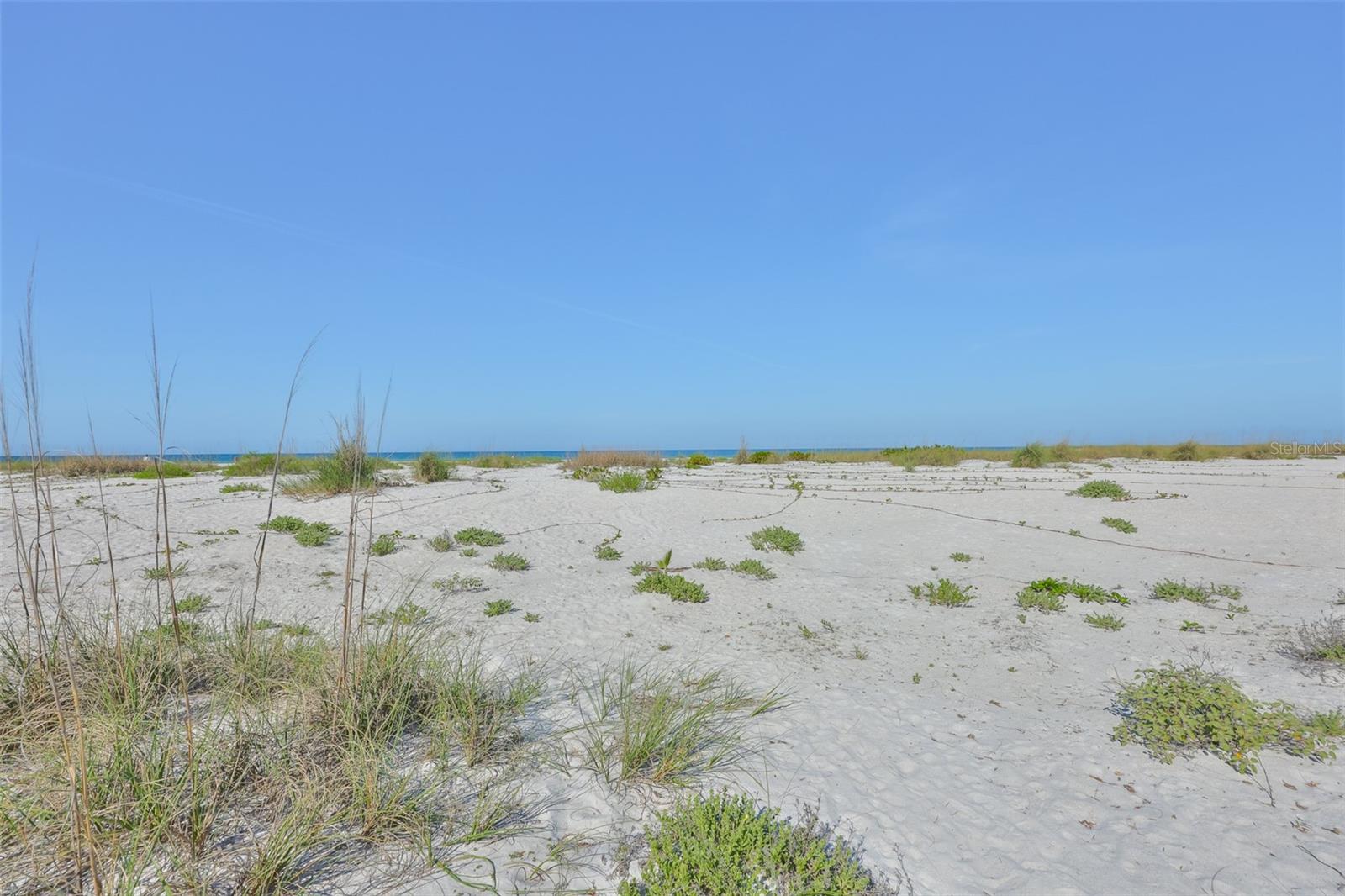 10220 GULF BLVD #1, TREASURE ISLAND, FL, 33706