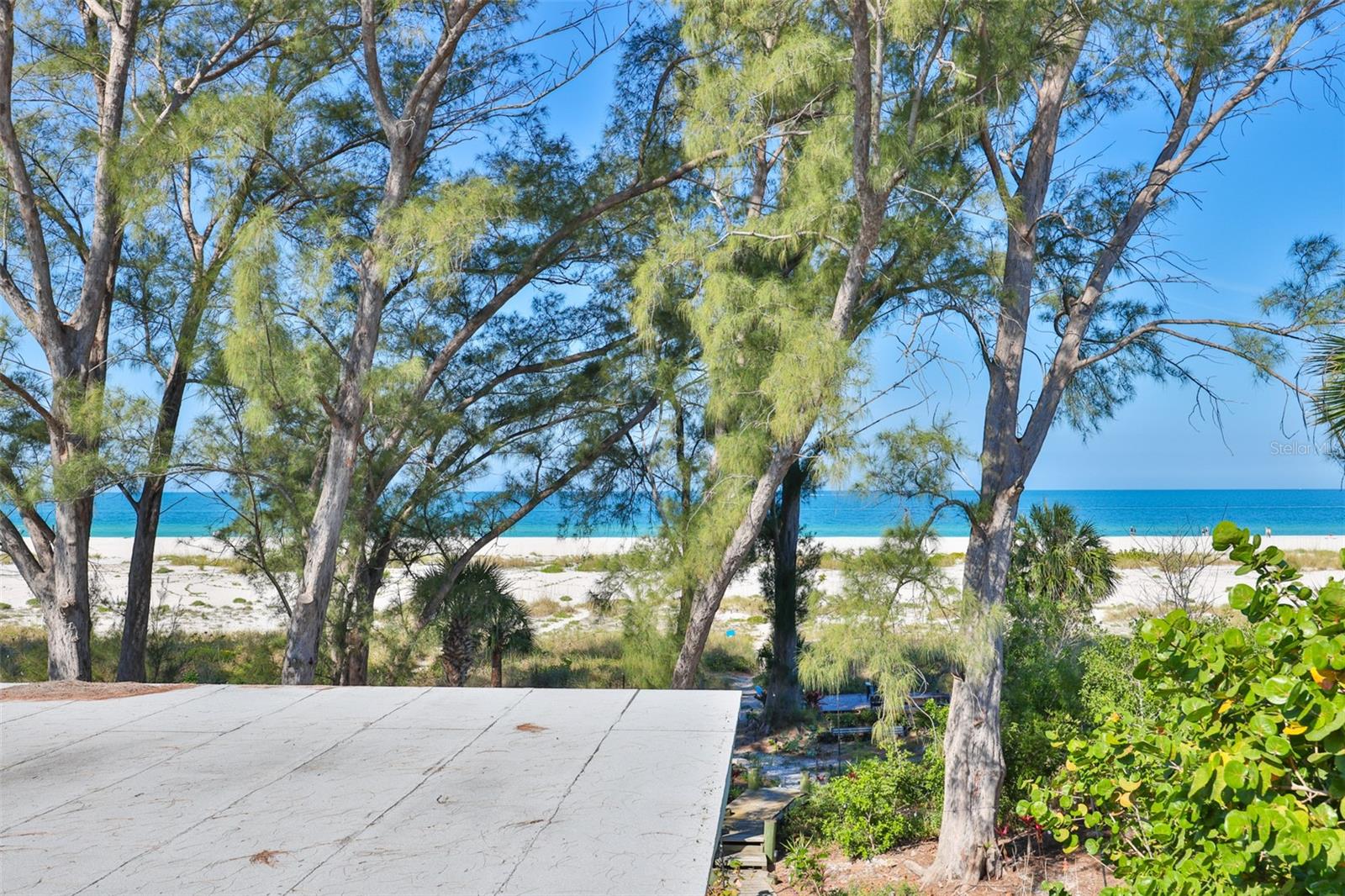 10220 GULF BLVD #1, TREASURE ISLAND, FL, 33706