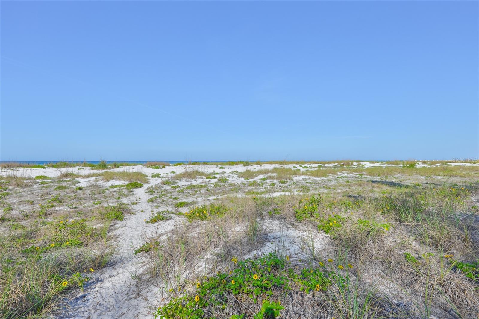 10220 GULF BLVD #1, TREASURE ISLAND, FL, 33706