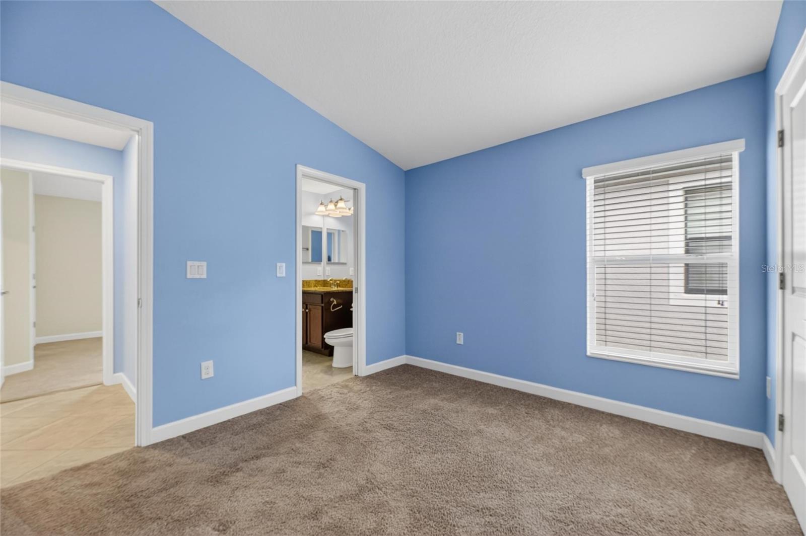 13168 GREEN VIOLET DR, RIVERVIEW, FL, 33579