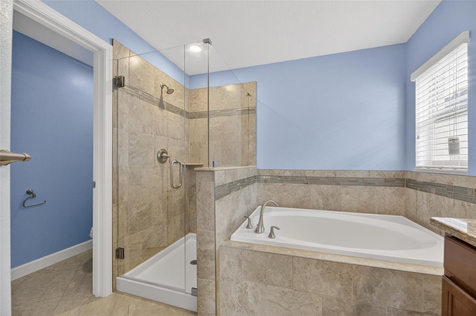 13168 GREEN VIOLET DR, RIVERVIEW, FL, 33579