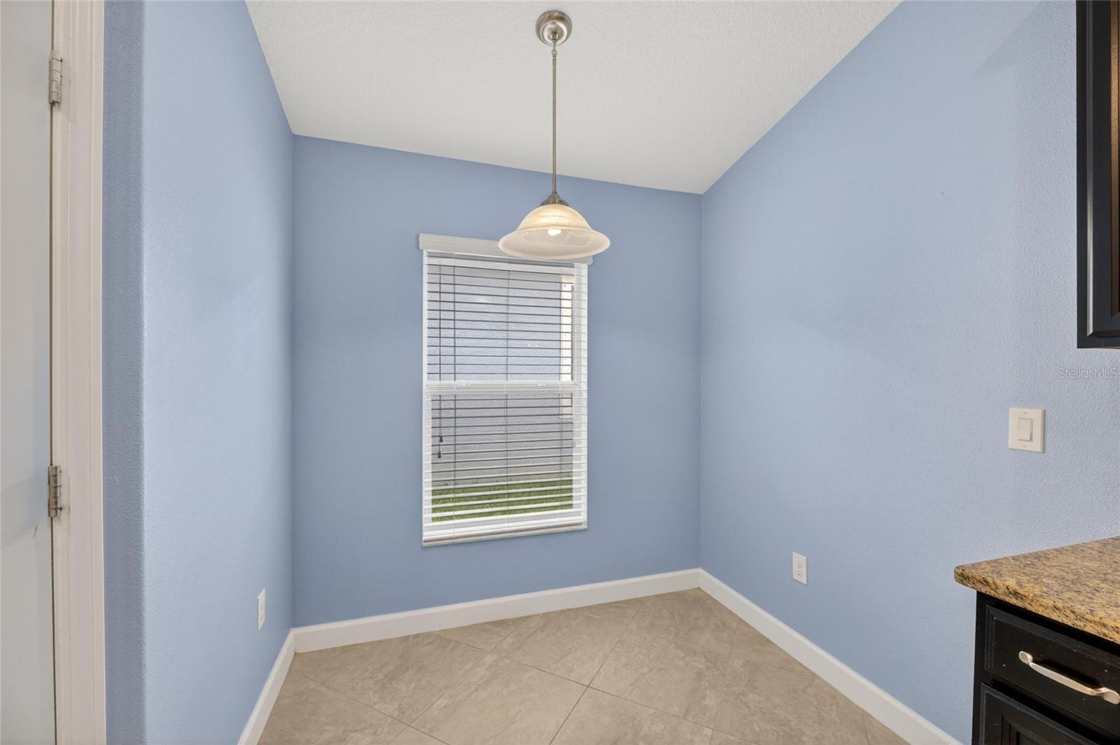 13168 GREEN VIOLET DR, RIVERVIEW, FL, 33579