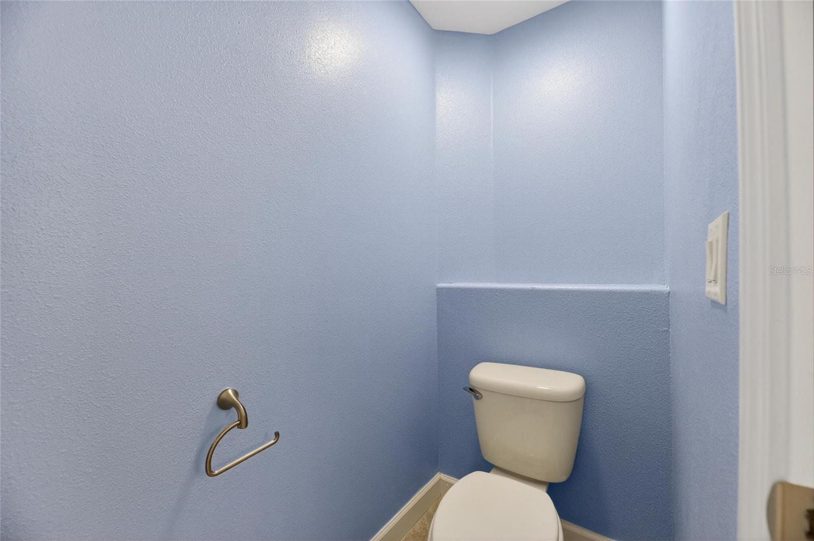 13168 GREEN VIOLET DR, RIVERVIEW, FL, 33579