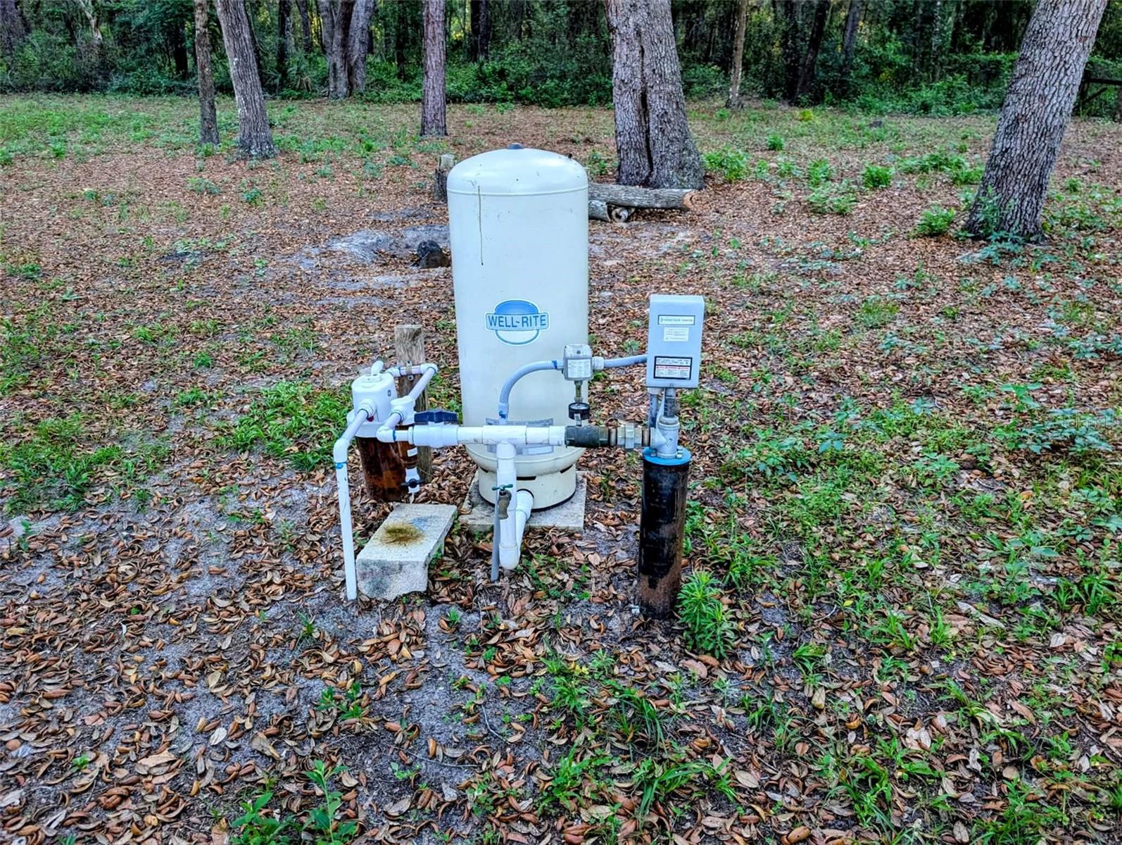 17247 SE 284TH TER, UMATILLA, FL, 32784