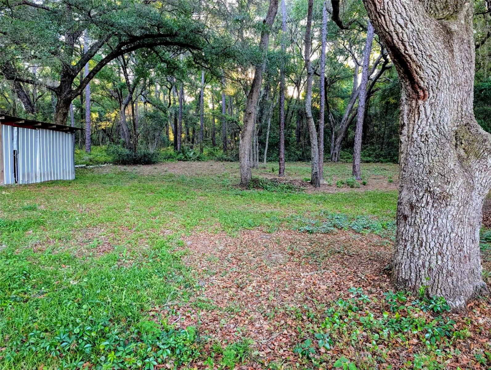 17247 SE 284TH TER, UMATILLA, FL, 32784