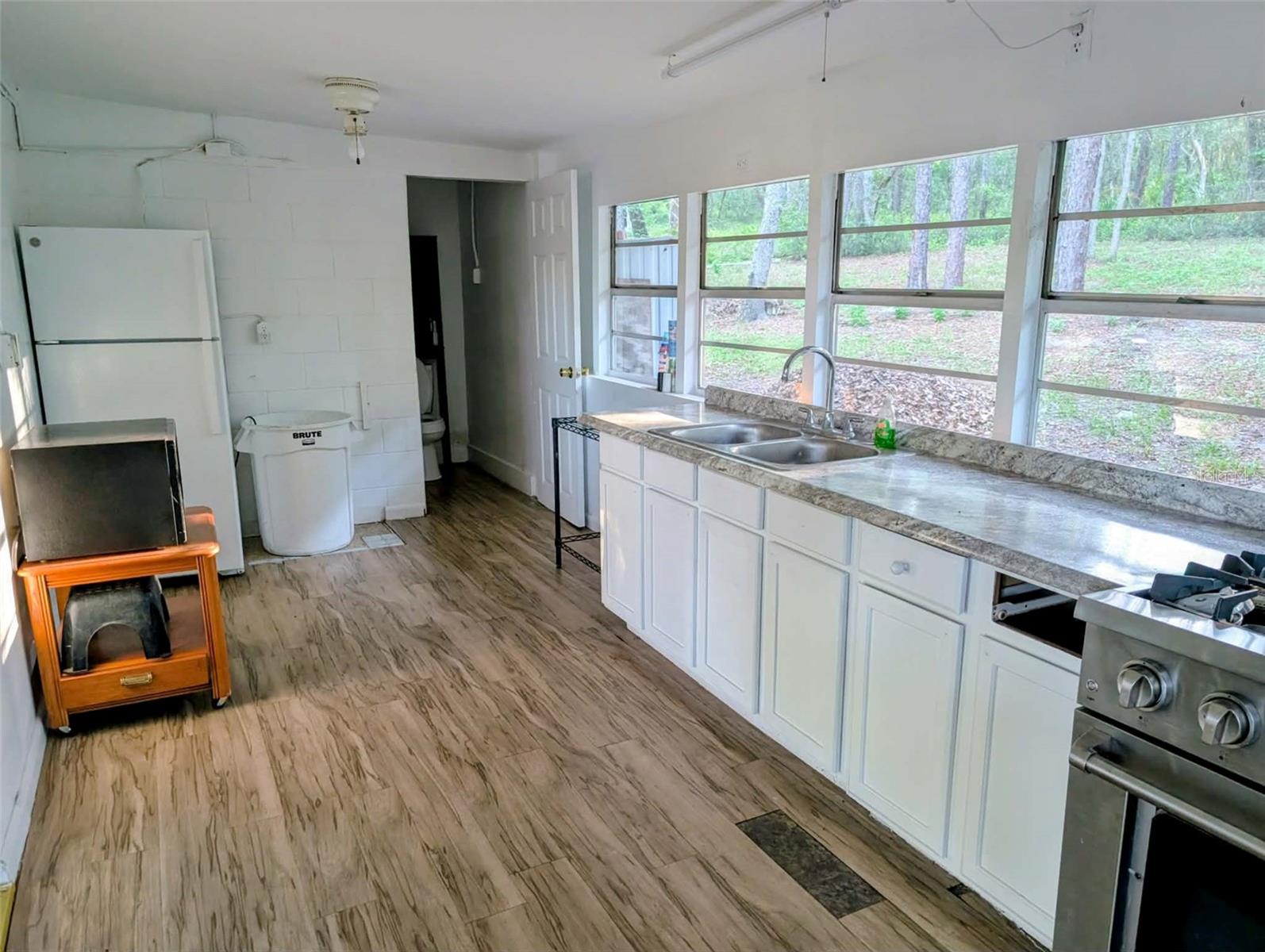 17247 SE 284TH TER, UMATILLA, FL, 32784