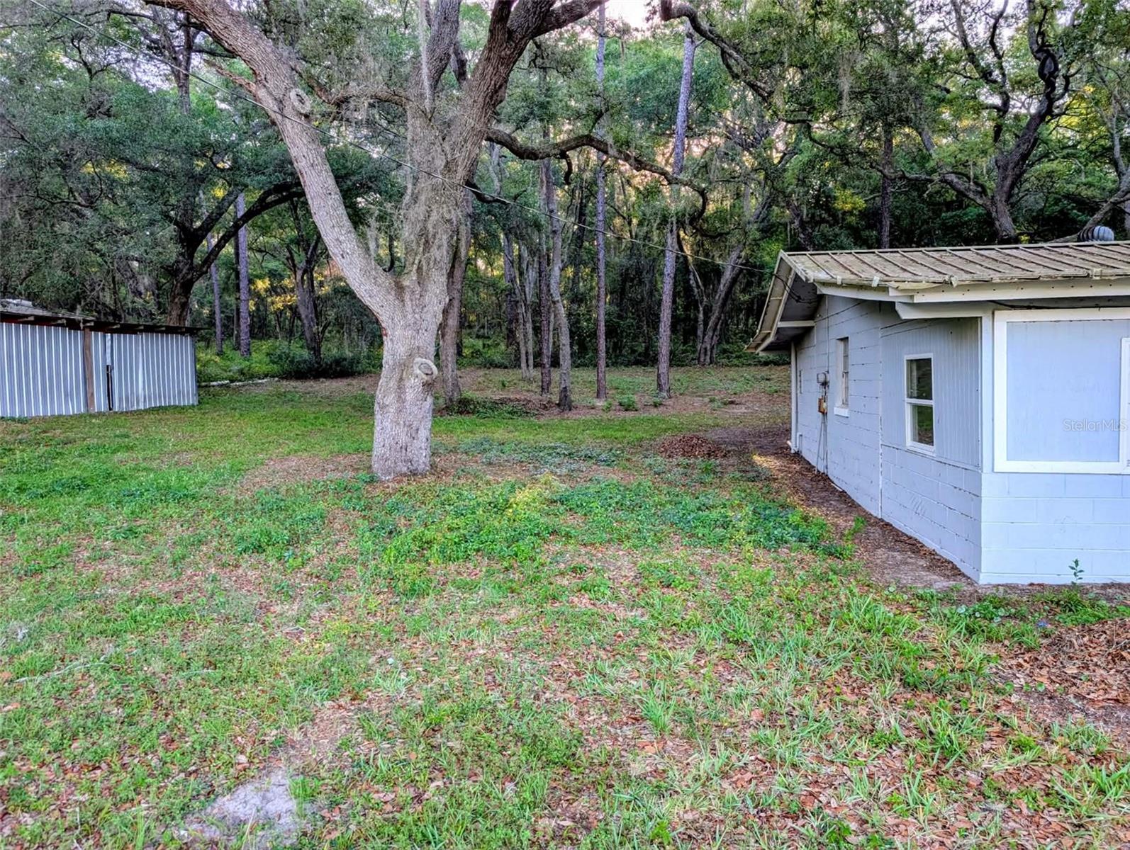 17247 SE 284TH TER, UMATILLA, FL, 32784