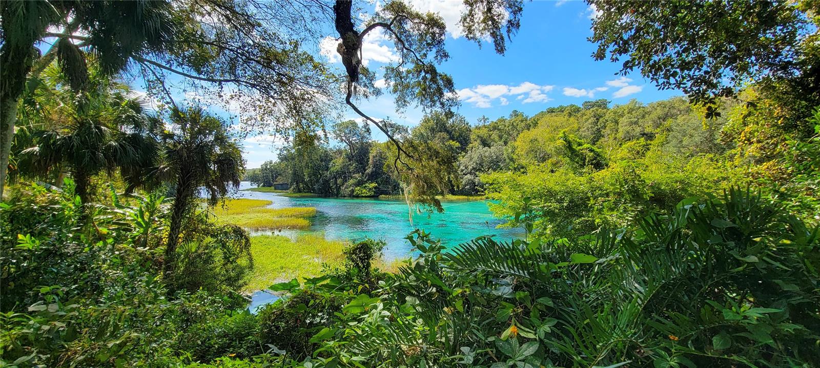 19056 SAINT BENEDICT DR, DUNNELLON, FL, 34432