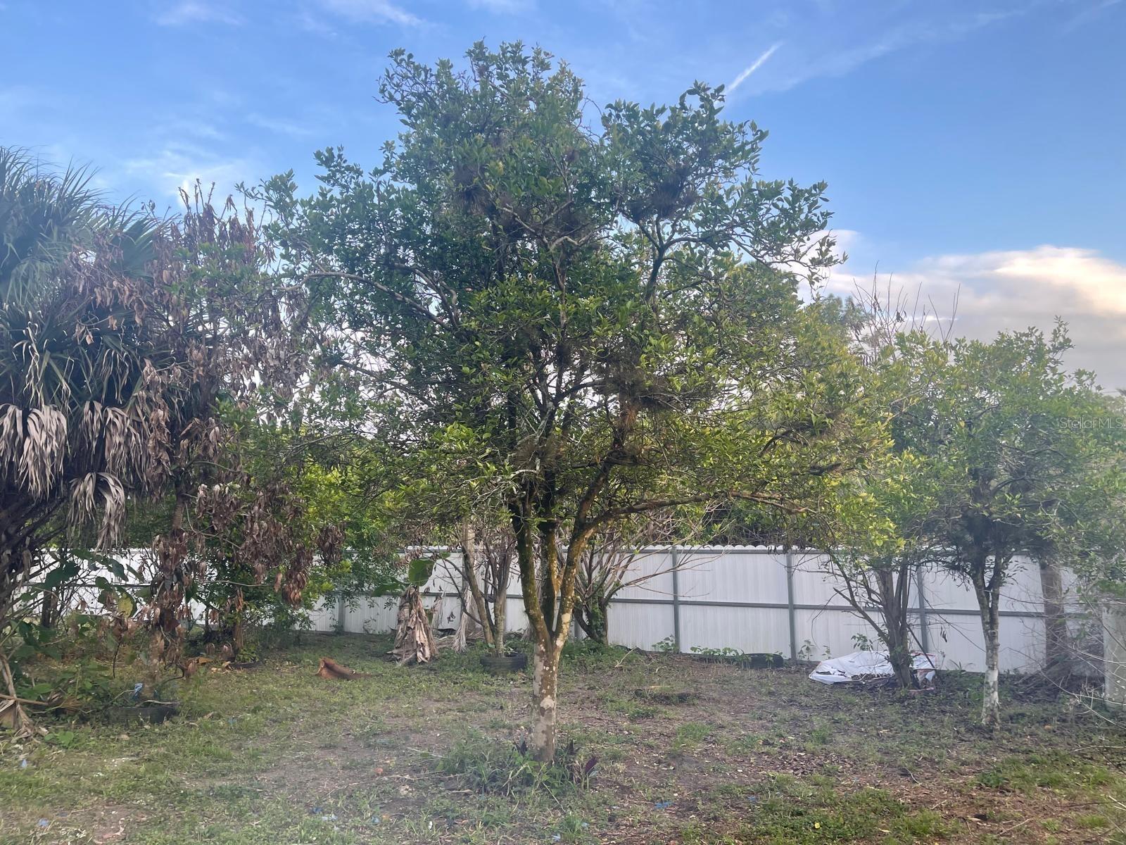 901 SHELDON AVE, LEHIGH ACRES, FL, 33936