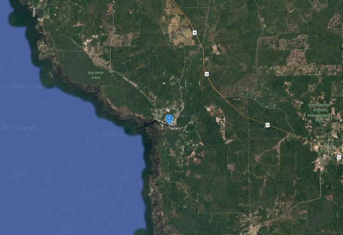 85 SW 279TH AVE, STEINHATCHEE, FL, 32359