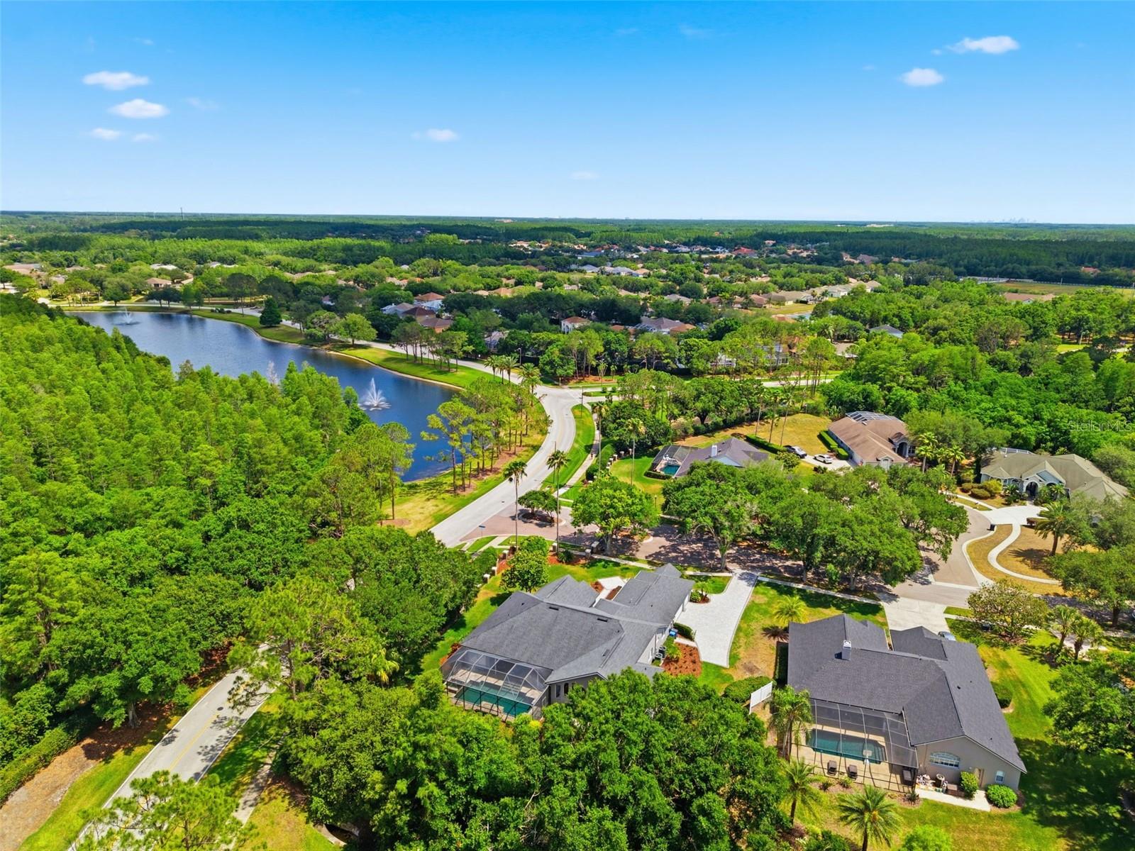 19130 CENTRE ROSE BLVD, LUTZ, FL, 33558