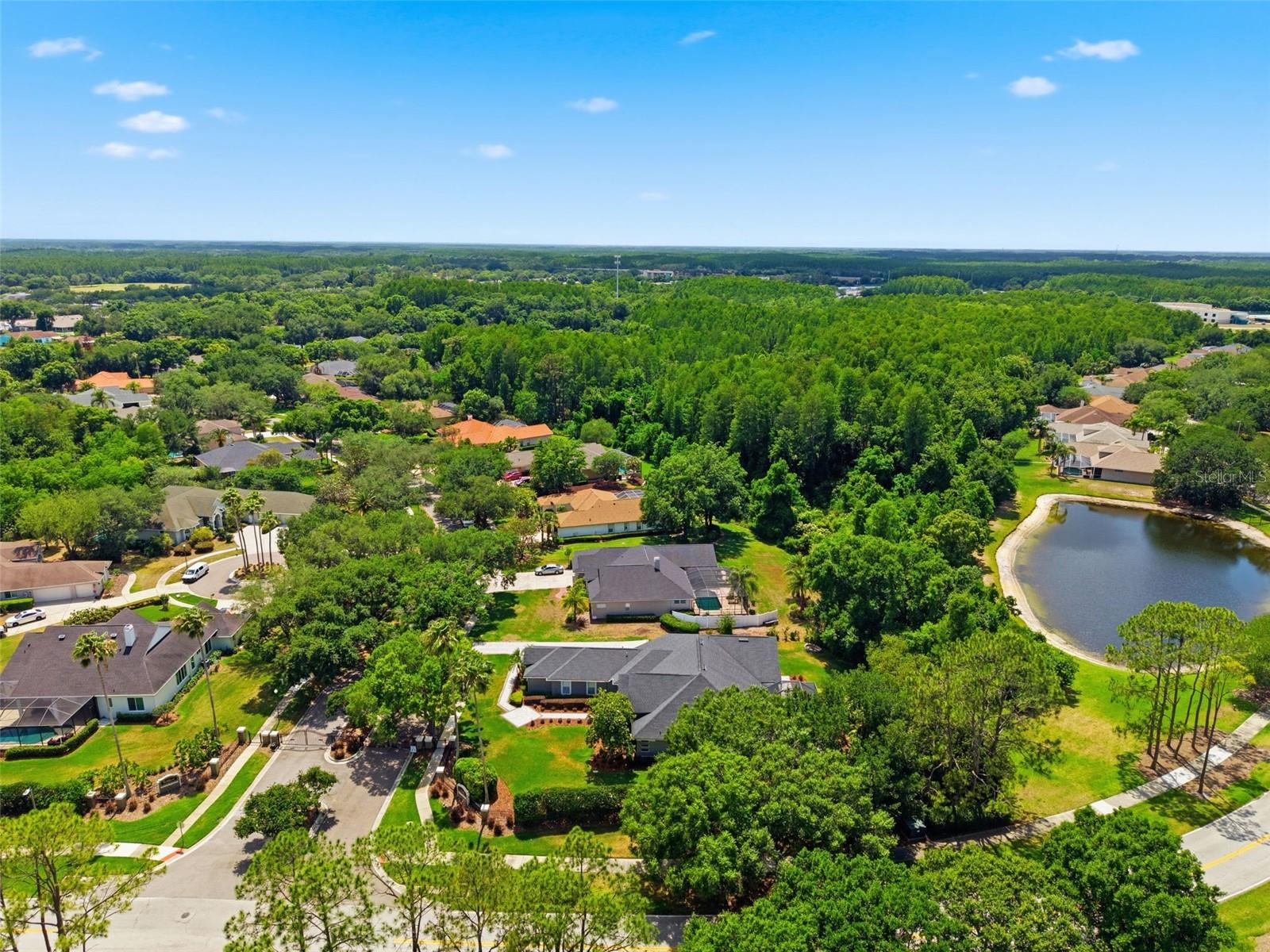 19130 CENTRE ROSE BLVD, LUTZ, FL, 33558