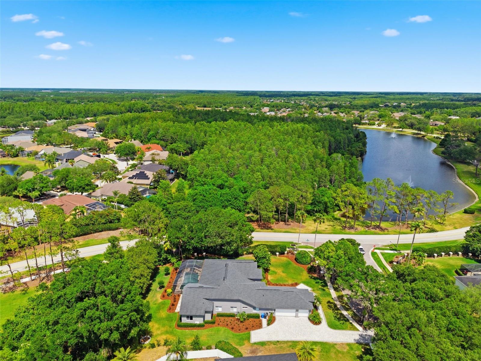 19130 CENTRE ROSE BLVD, LUTZ, FL, 33558