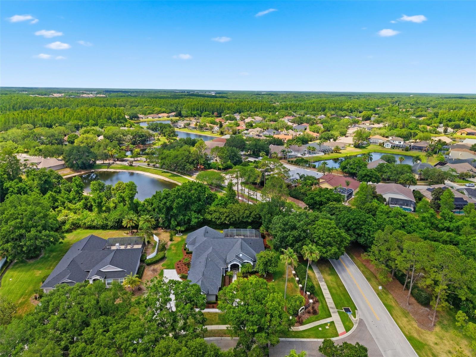 19130 CENTRE ROSE BLVD, LUTZ, FL, 33558