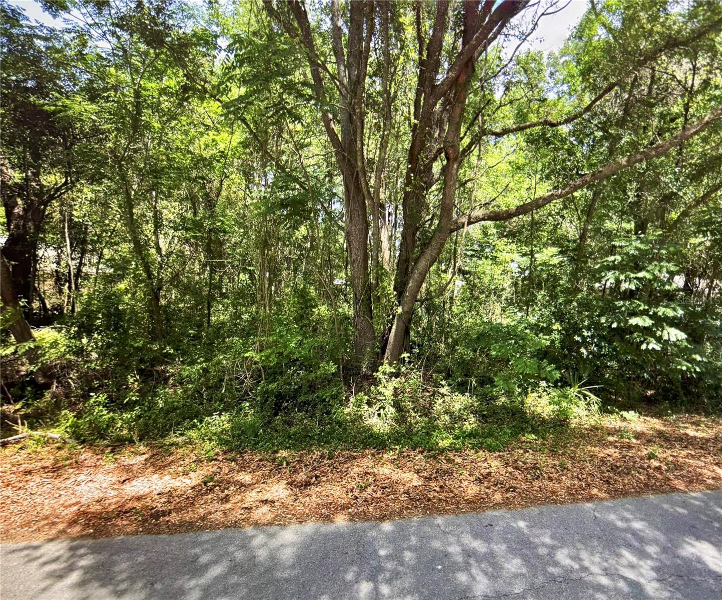 41 PINE TRACE CRSE, OCALA, FL, 34472