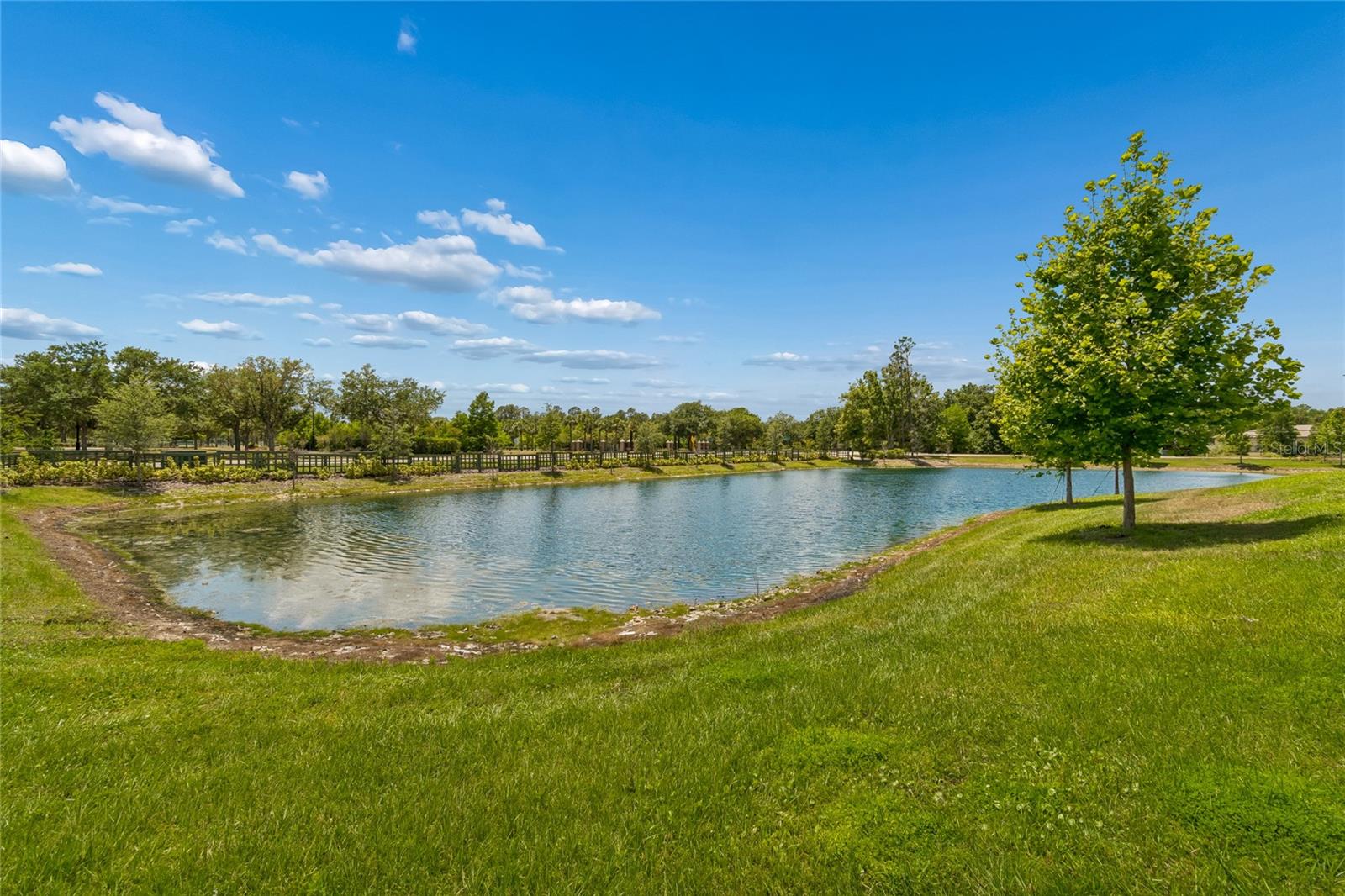 18238 PEARL VIEW PL, LUTZ, FL, 33548