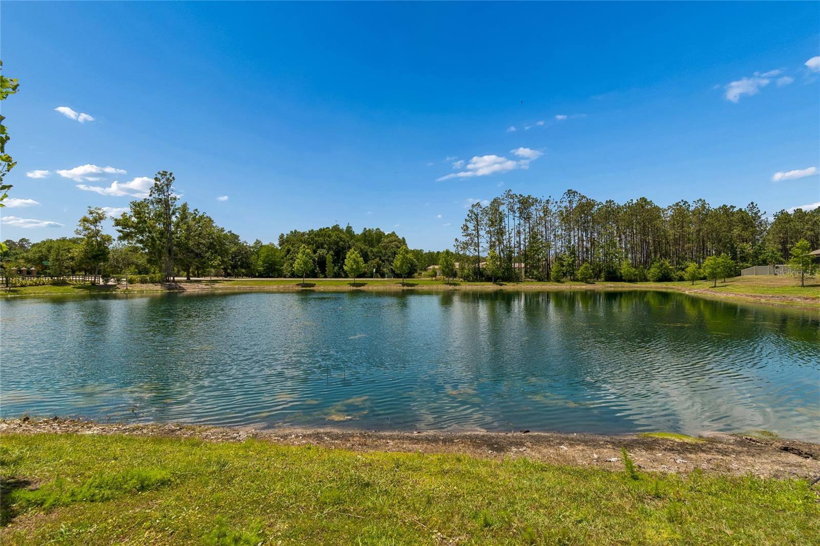 18238 PEARL VIEW PL, LUTZ, FL, 33548