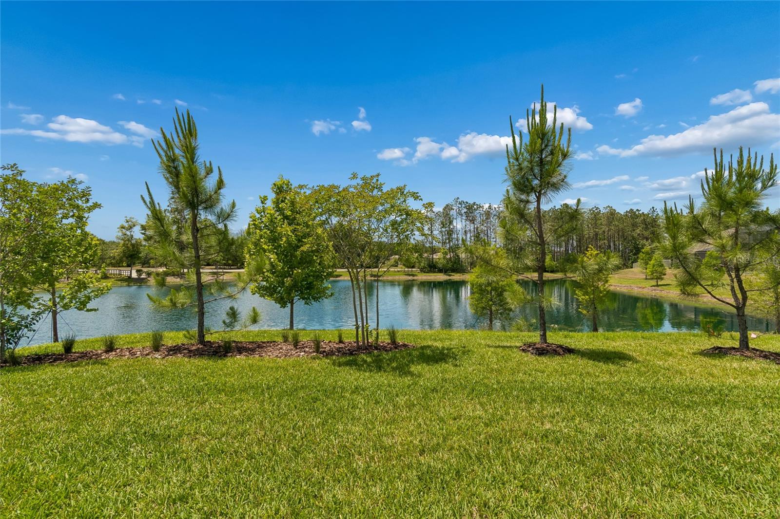 18238 PEARL VIEW PL, LUTZ, FL, 33548