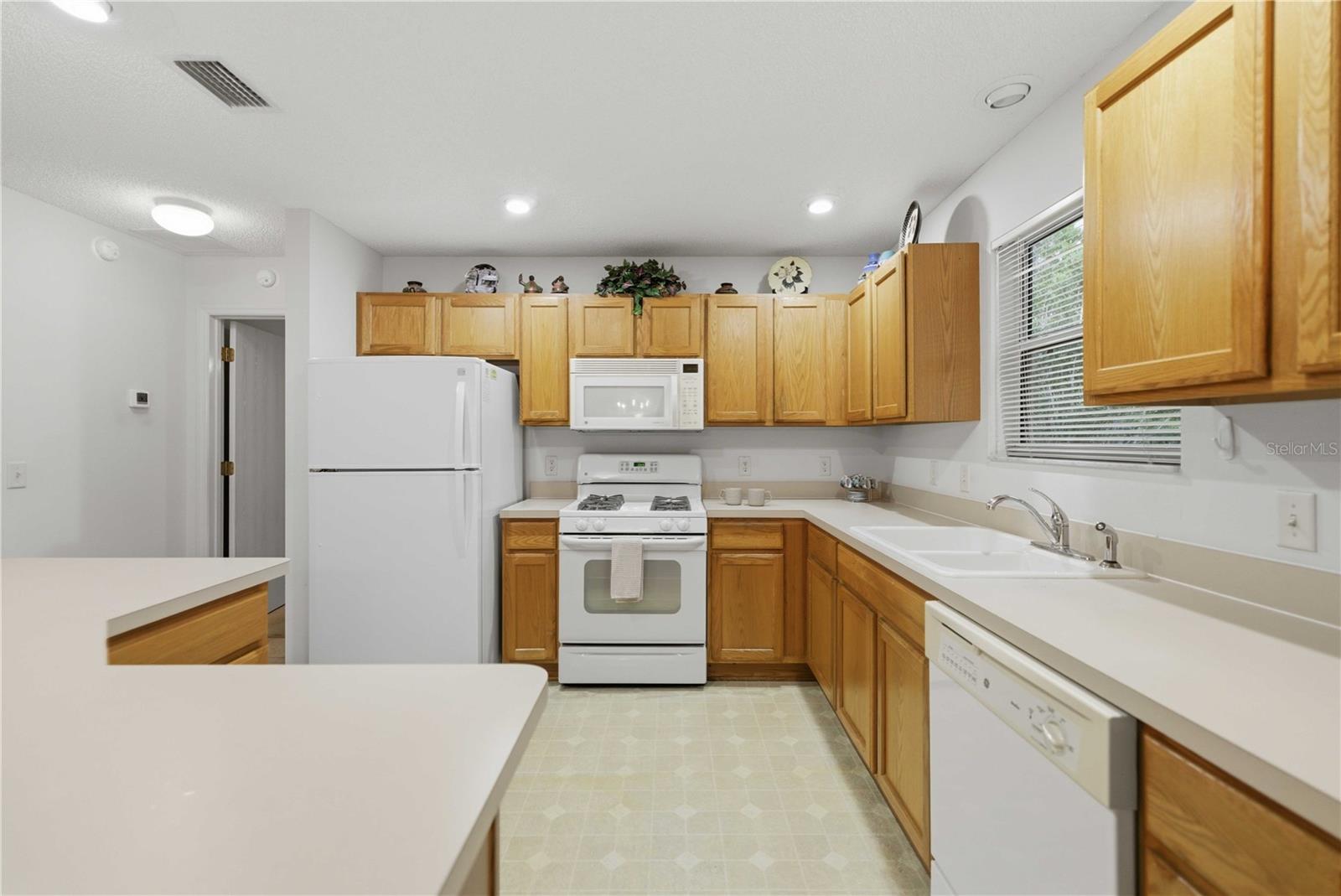 3431 SIPSEY ST, THE VILLAGES, FL, 32162