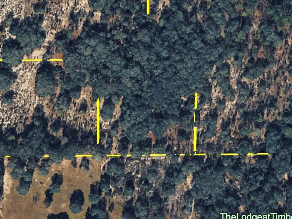 120 NE SR24 AVE NE, ARCHER, FL, 32618