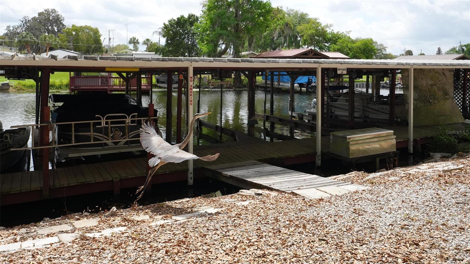 31609 TERRACE DR, TAVARES, FL, 32778