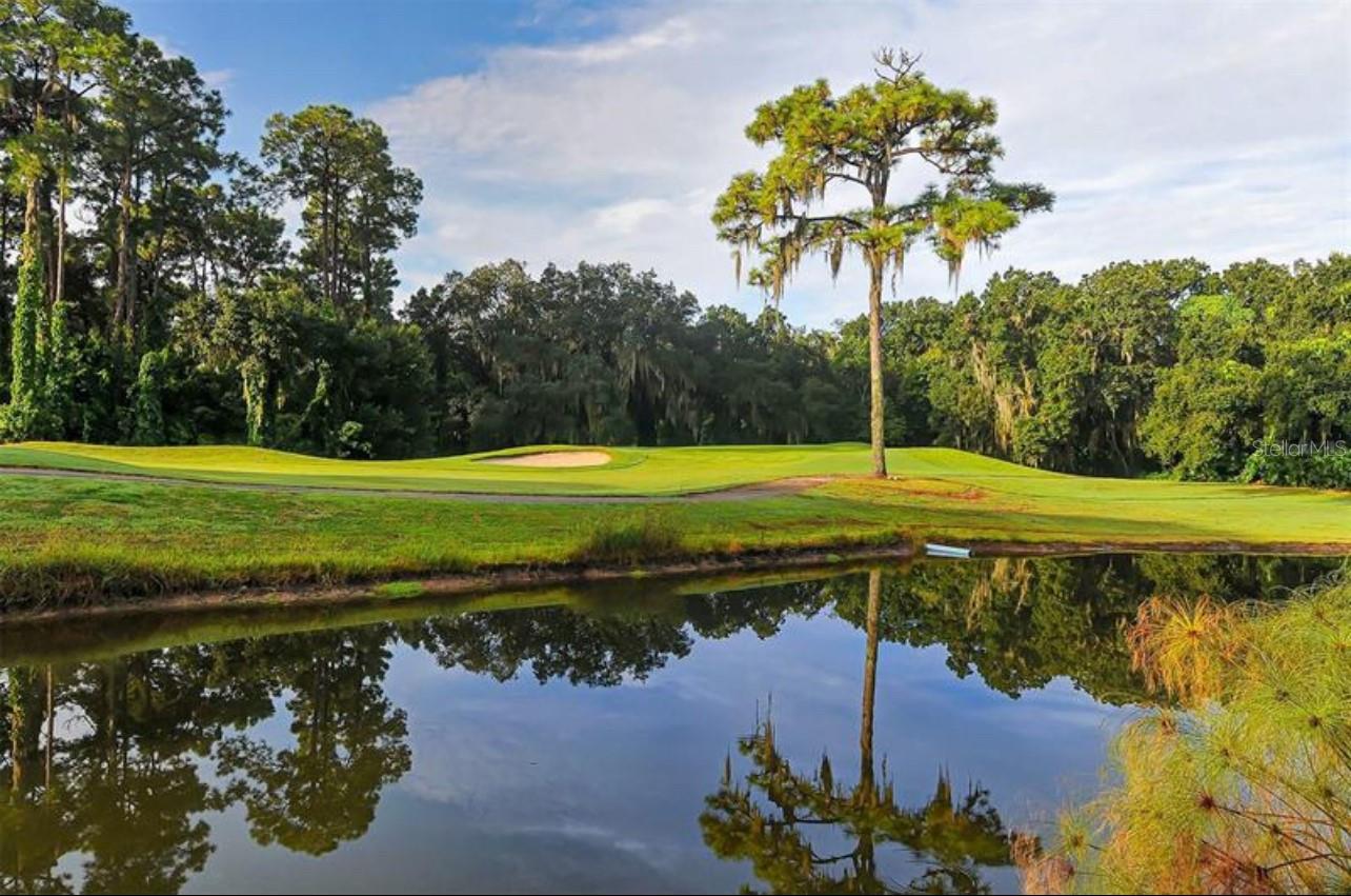 5655 SHEFFIELD GREENE CIR #61, SARASOTA, FL, 34235