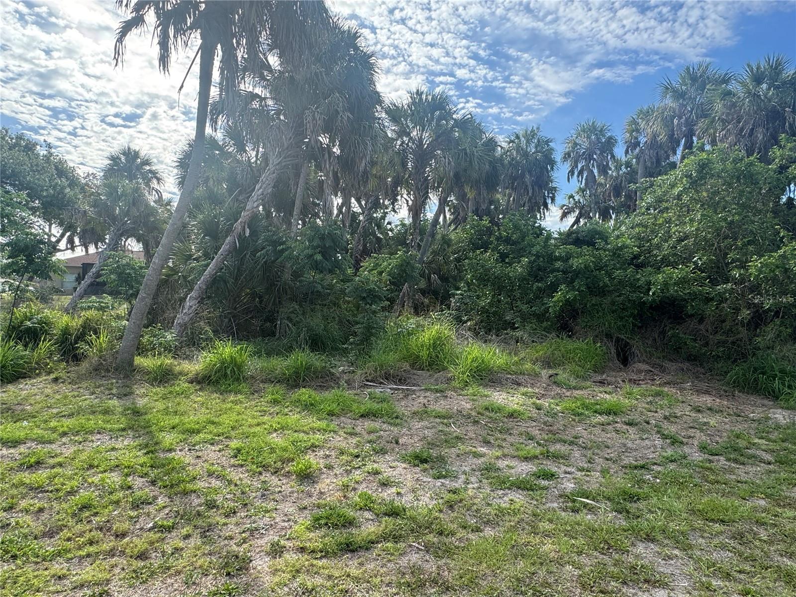 Lot 1 MULGRAVE AVE, NORTH PORT, FL, 34287