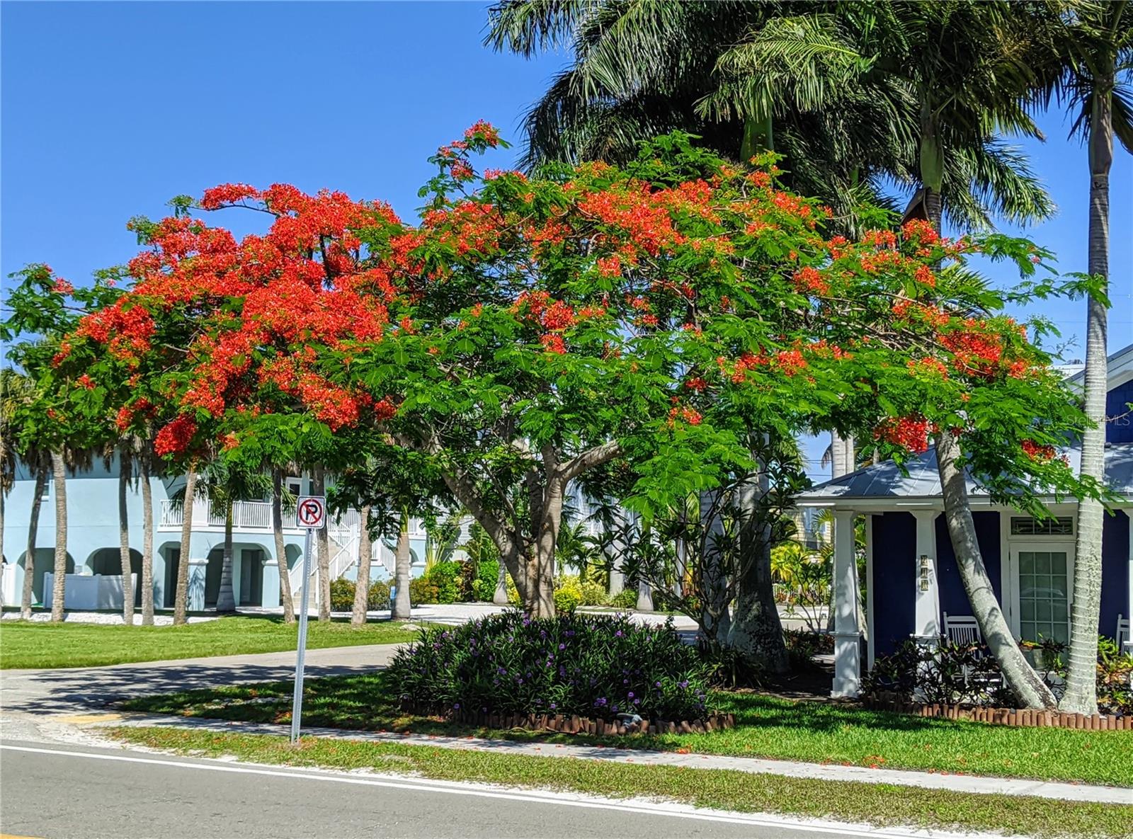 1840 SUNNY DR #D-36, BRADENTON, FL, 34207