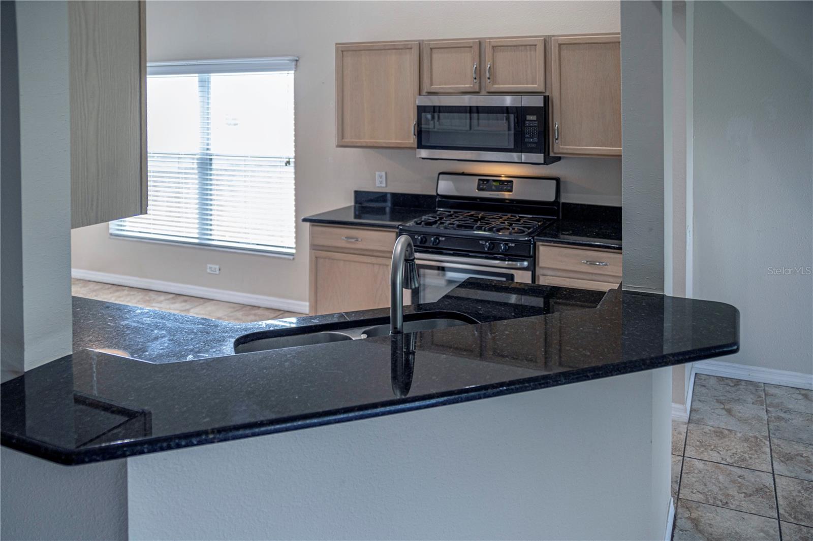 29841 MORNINGMIST DR, WESLEY CHAPEL, FL, 33543