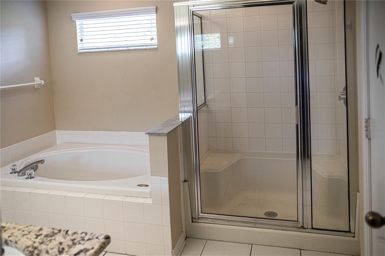 29841 MORNINGMIST DR, WESLEY CHAPEL, FL, 33543