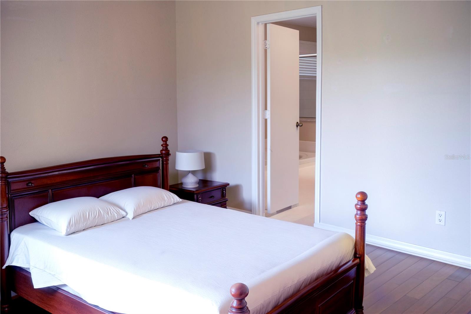 29841 MORNINGMIST DR, WESLEY CHAPEL, FL, 33543