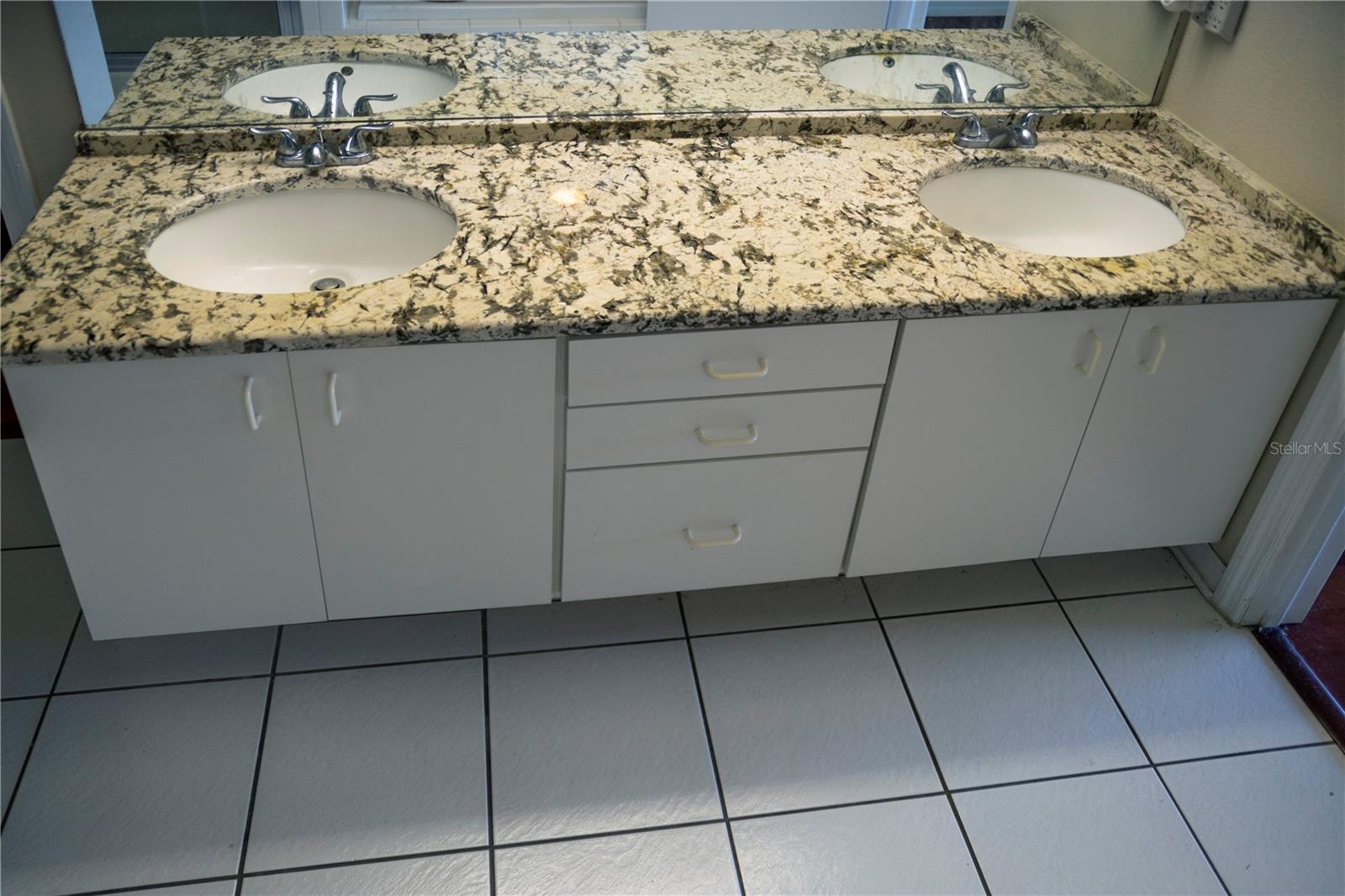 29841 MORNINGMIST DR, WESLEY CHAPEL, FL, 33543