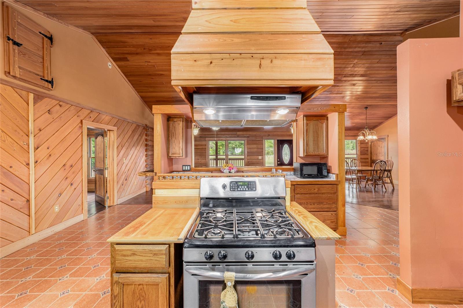 1230 SW VALENCIA HEIGHTS AVE, DUNNELLON, FL, 34431