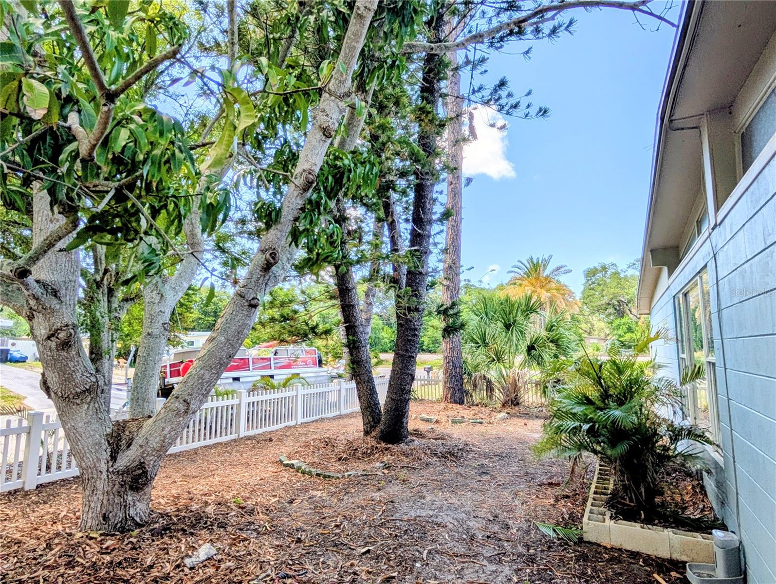 1519 CHANDLER AVE, CLEARWATER, FL, 33755