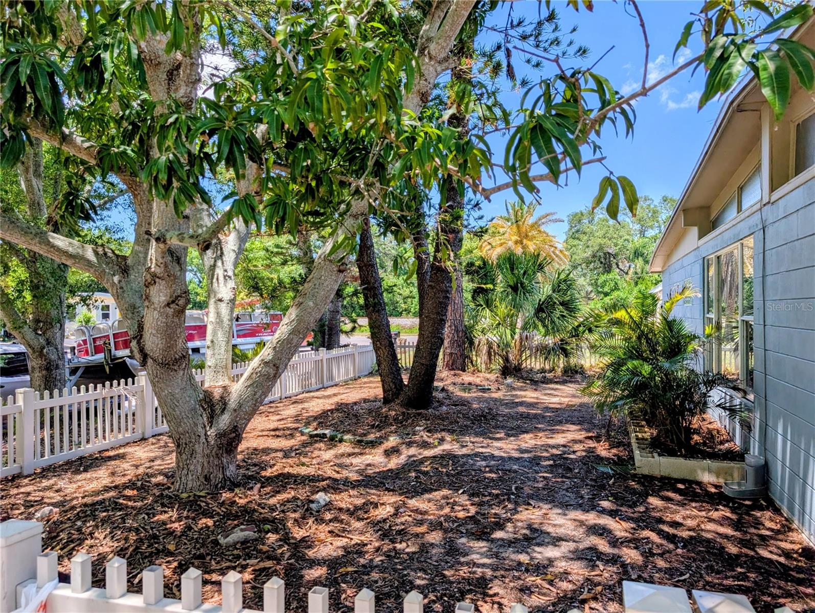 1519 CHANDLER AVE, CLEARWATER, FL, 33755