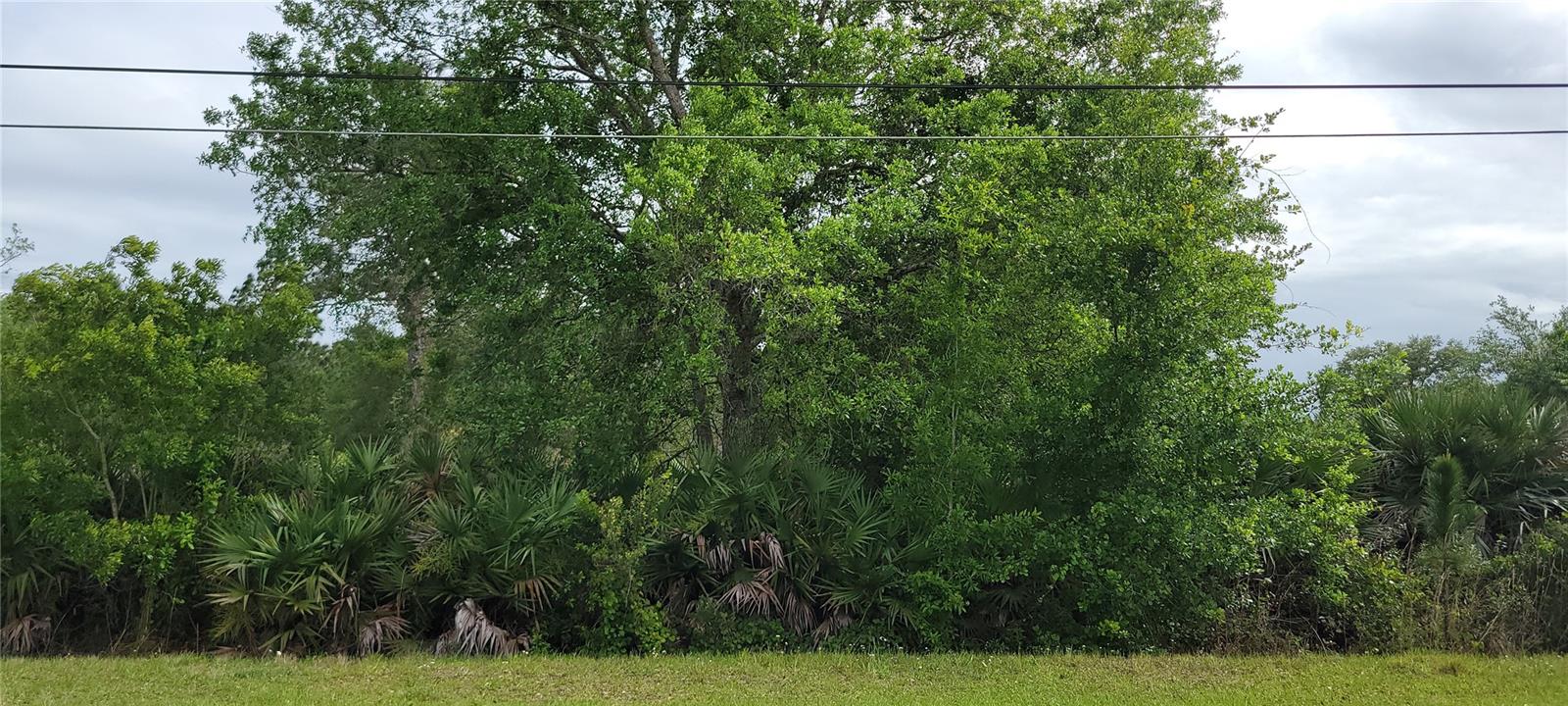 RALSTON ST, ORLANDO, FL, 32833