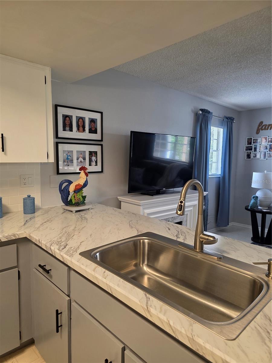 12532 CORONADO DR, SPRING HILL, FL, 34609