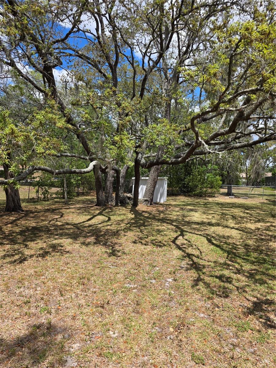 12532 CORONADO DR, SPRING HILL, FL, 34609