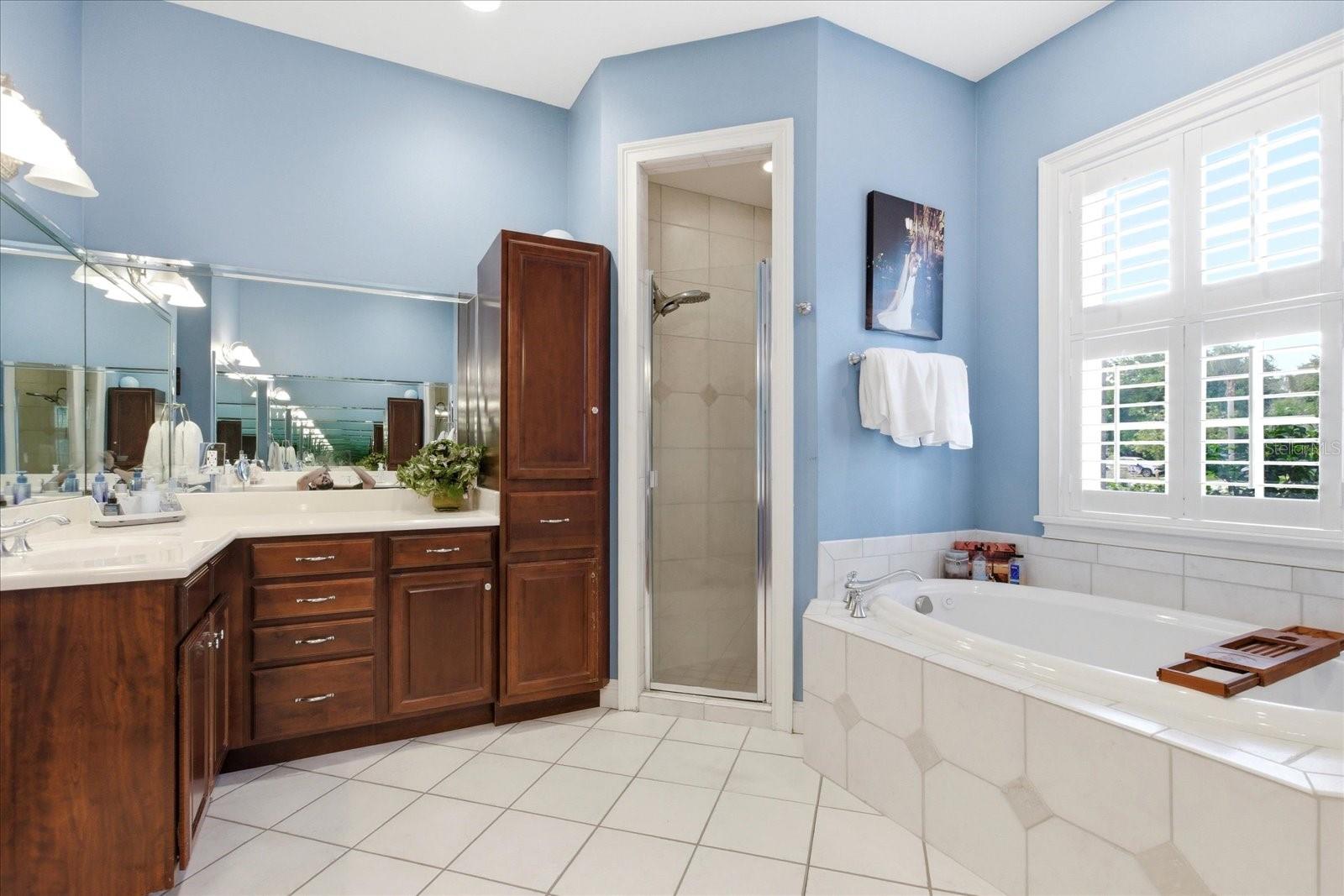 2635 TRYON PL, WINDERMERE, FL, 34786