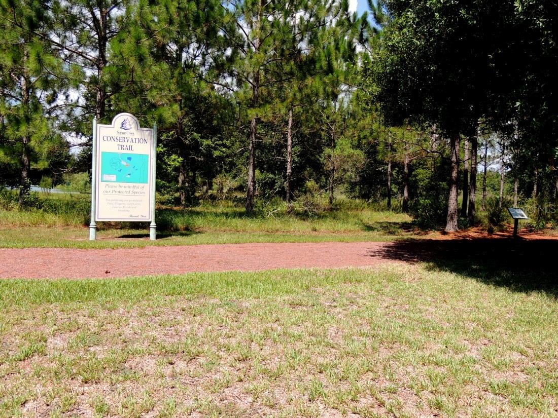 13732 SE 88TH CT, SUMMERFIELD, FL, 34491